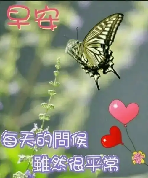  幸福的味道在最早的祝福中快乐升级,亲爱的,早上好