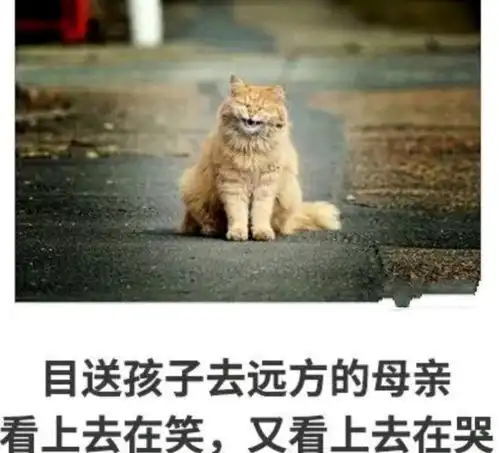 搞笑趣图真的非常感谢曾经打击我的人,让我学会了打击别人腾讯新闻