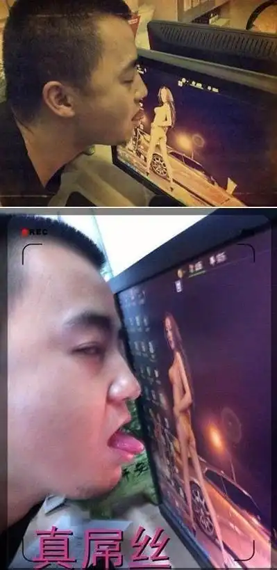 双11图片搞笑图片趣图