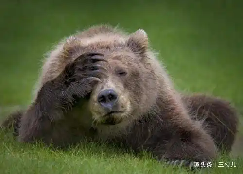  搞笑动态趣图gif宿舍里来了一个大妈