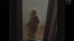  搞笑20120321迷倒万千网友的狗狗销魂热舞宠物奇趣