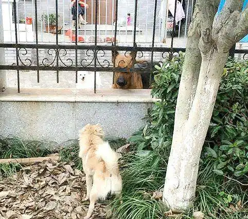  搞笑图片幽默段子笑话单身狗约会女友,被她老爸发现了