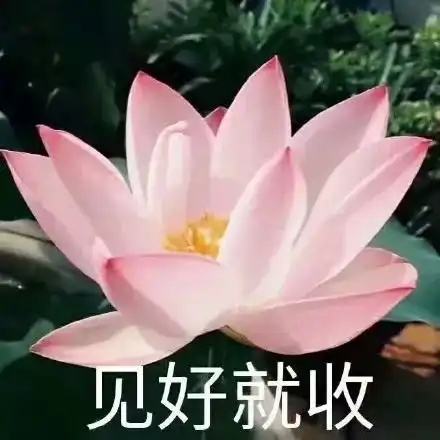  点个外卖也搞联名饿了么推出的快乐肥宅衣,竟还有点好看本周壁纸更新ins晚抱