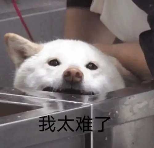  鄙视链底端的人连口渴都只配在水管里喝自来水