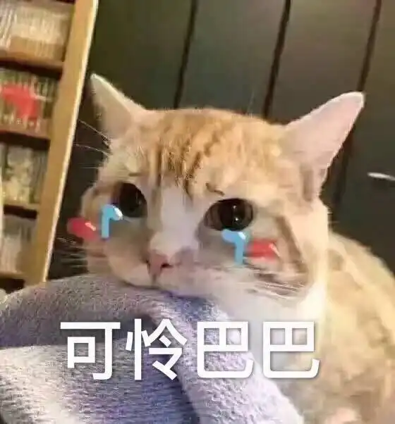 搞笑的猫咪表情包31张,拿去折腾男朋友吧 搞笑的猫咪表情包31张,拿去折腾男朋友吧