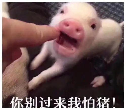  好美的背影,我也要去这里上班