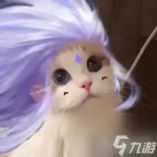  九游游戏中心王者荣耀猫咪刺客头像大全
