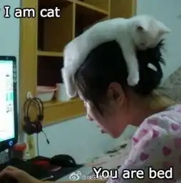  蛋友贴图专版