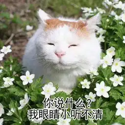  有什么好玩有趣的图片表情包吗