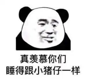  表情包我慕了,睡觉睡觉