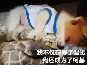 大郎该吃药了搞笑图片哈