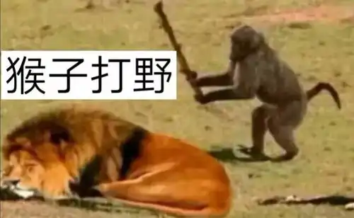 搞笑趣图这就是传说中的野王猴哥不要怂一起上  搞笑趣图这就是传说中的野王猴哥不要怂一起上
