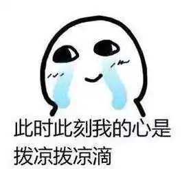 最怕突然的诚实明星搞笑又扎心访谈大赏