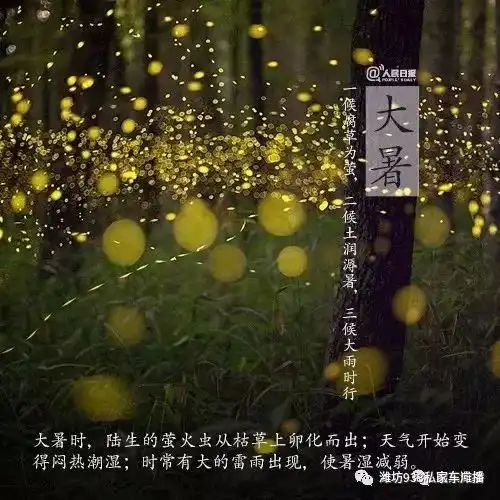  伴随台风安比而来的不仅是强降雨,还有