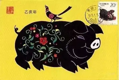 猪图片大全搞笑可爱韩美