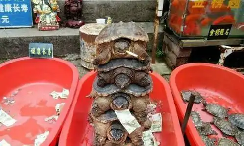  找亮点