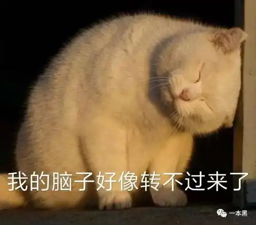  天才基佬还是荡妇,验下口水就知道