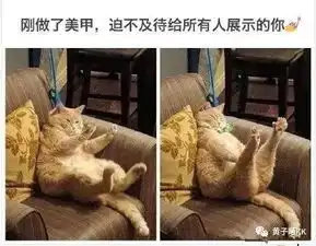  2018年度网友热选最搞笑图片,笑出腹肌