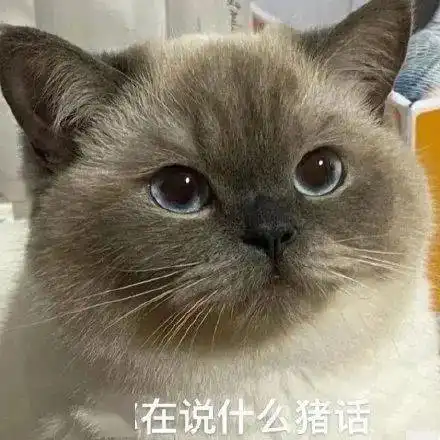  每日沙雕表情包