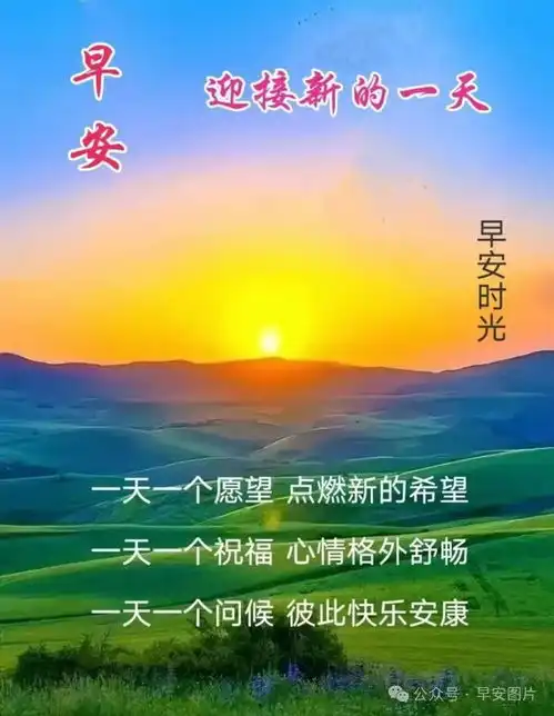  2024年8月25日周日精选早安祝福图片,雨过菊花香,又感秋风凉早安祝福美图分享给您网易订阅