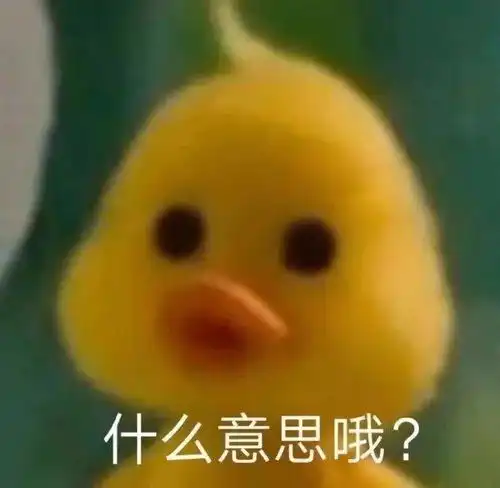  小黄鸭表情包