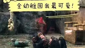 搞怪头像2  搞怪头像2