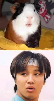 搞笑图片集锦带字失散