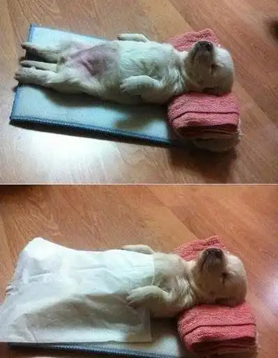 精选图片帖上街论坛第59页  精选图片帖上街论坛第59页