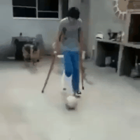  搞笑gif趣图妹子,你会在这条路上越走越远的