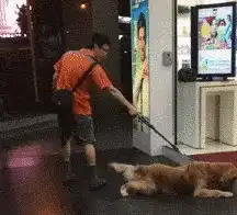  爆笑gif姑娘,你这样下去找不到男朋友的