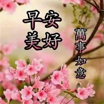  2023最新早晨好早上好漂亮问候祝福图片头像