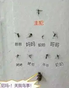 我就看一下大腿