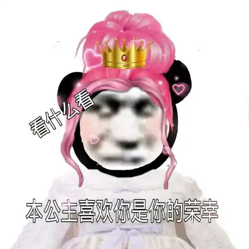  肾不行不要和我讲话熊猫头表情包
