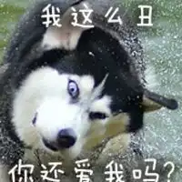  二哈搞笑图片带字表情包女人不要玩火