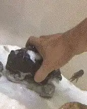烂鞋子搞笑图片卡通爆笑