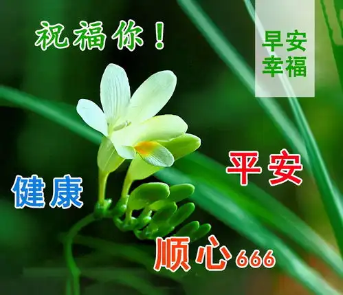  清晨问候朋友的句子图片大全早晨心情语录