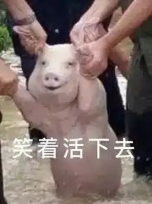 套路表情包一套猪生存家
