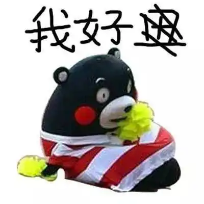  我是一个不知道丑字怎么写的人