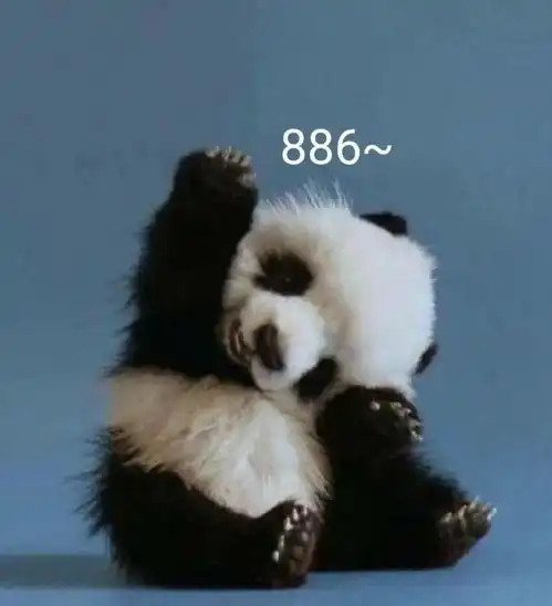  橙蓝radio保护动物ing你我同行
