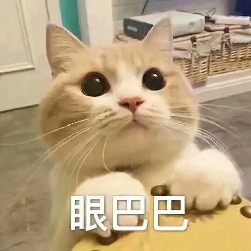  求一个gif图或视频出处