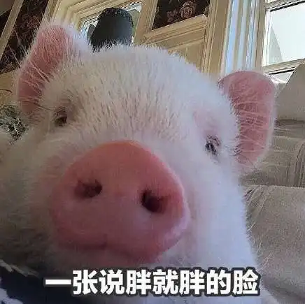  无水印假期表情包大全放假的我图集