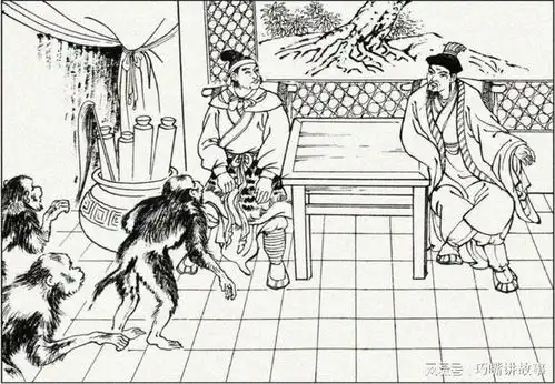  猴子也能敲锣打鼓,老汉的坟地晚上很热闹,得知真相众人一阵叹息