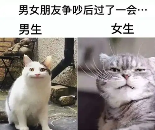  搞笑趣图当情侣吵完架的一段时间后,男生vs女生