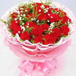  鲜花速递花季雨鲜花