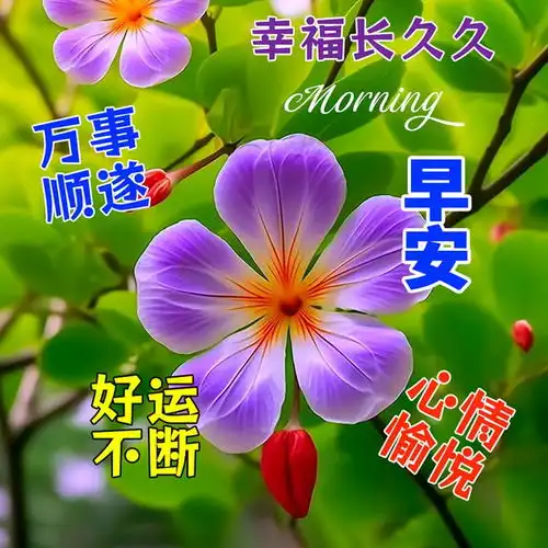  9张最新早安祝福问候漂亮图片,愿你幸福如意,喜乐安康