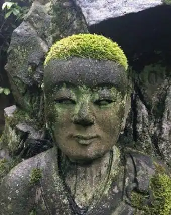  搞笑图片幽默段子笑话小胖子,你别把后面的小朋友吓到了