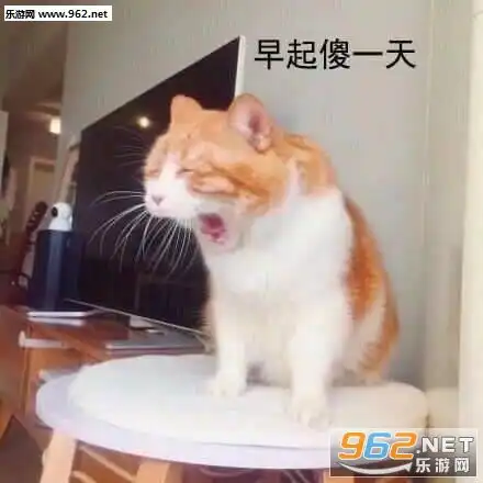  很晚了该睡了的图片当场愣住猫咪表情包下载乐游网游戏下载