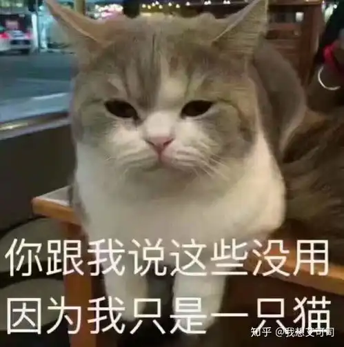 搞笑图片集 微信男孩子