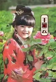 关于ps搞笑图片林黛玉