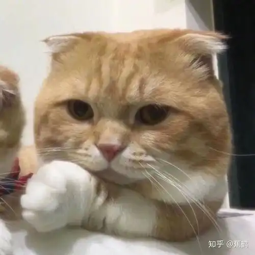  有哪些特别好看的情侣头像或者微信qq头像